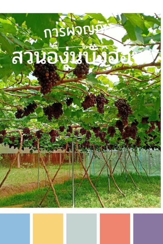 Bang Hon Homestay كو ياو نوي المظهر الخارجي الصورة